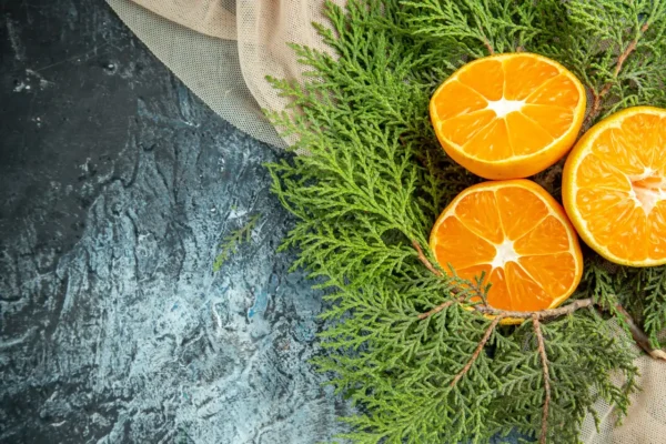 Vaporisateur - Orange et Cèdre – Image 2