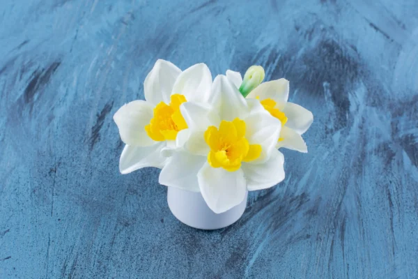 Vaporisateur - Fleur de Monoï – Image 2